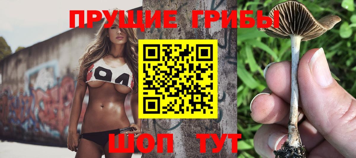 Псилоцибиновые грибы мицелий Люберцы